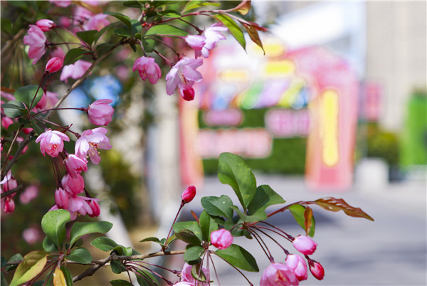 春暖花開(kāi)，等你歸來(lái)——邀你云賞南新春景，以慰思念